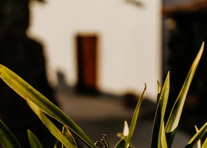 Casa Carballas Isabel * איקוד דה לוס וינוס