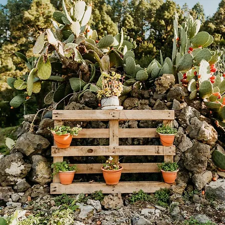 Casa Carballas Isabel *