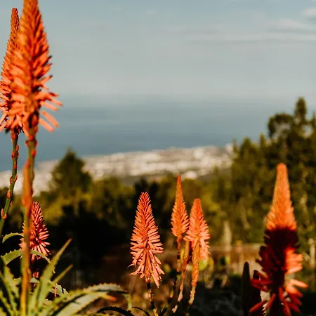 Casa Carballas Isabel Dağ evi *