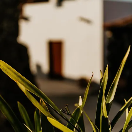 Casa Carballas Isabel * Icod de los Vinos