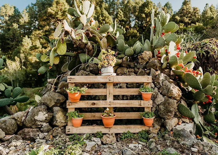 Casa Carballas Isabel *