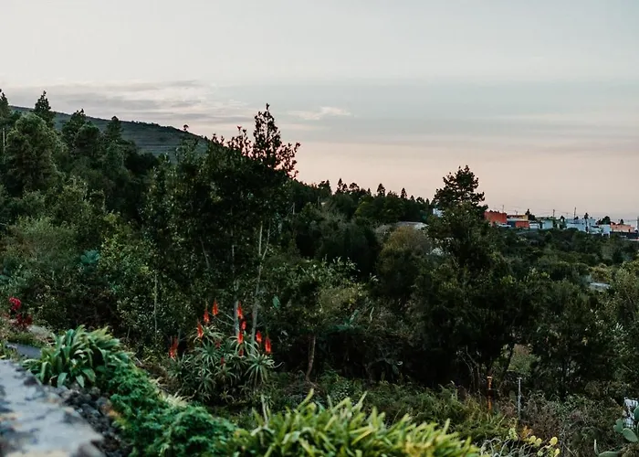 Domek alpejski Casa Carballas Isabel Icod De Los Vinos