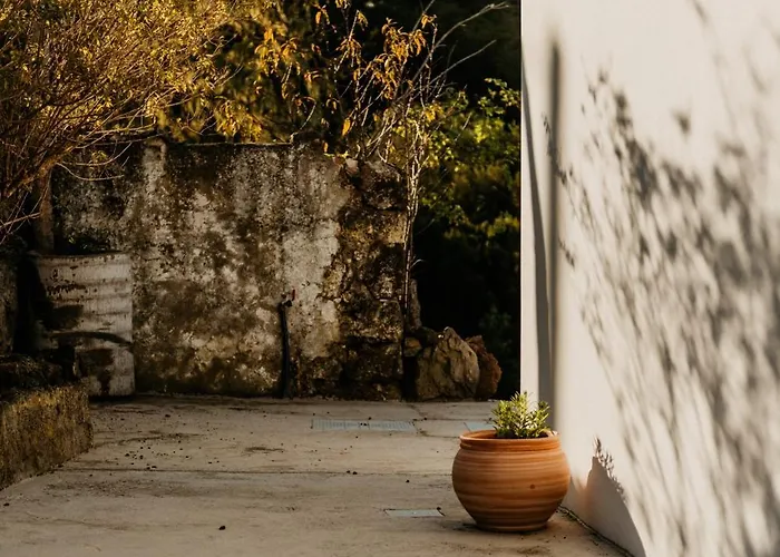 Casa Carballas Isabel Domek alpejski